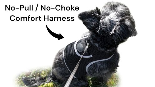 Heavy Duty GSM GPS Dog Collar Realtime Rechargeable Tracking Device w/ Phone App Size:S